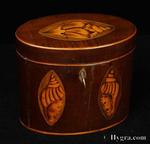 Enlarge Picture: George III oval mahogany single compartment tea caddy inlaid with oval marquetry panels depicting shells.  The caddy has maple stringing. The 